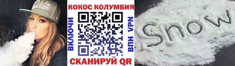 Cocaine FishScale  Купить закладки  Пустошка 