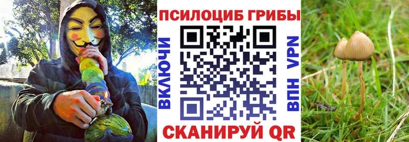 Псилоцибиновые грибы MAGIC MUSHROOMS  Купить где  Пустошка 